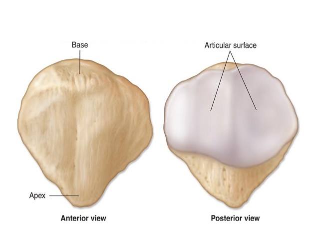 21731355 1900316510221010 1924021507713781685 n